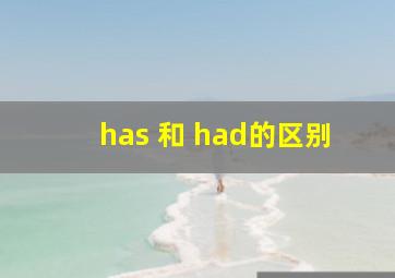 has 和 had的区别